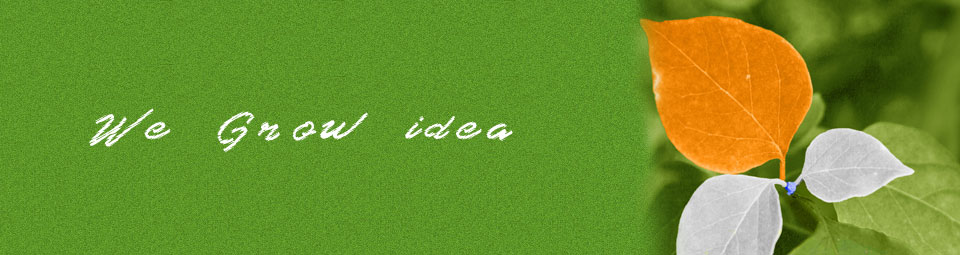 Search Engine Web Desiging, Ahmedabad, Gujarat, India